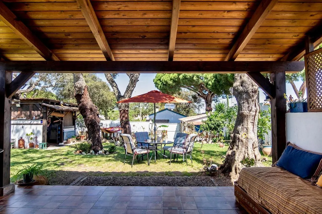 Villa El Acebuche - Chalet Con Encanto - Pet Friendly Barbate