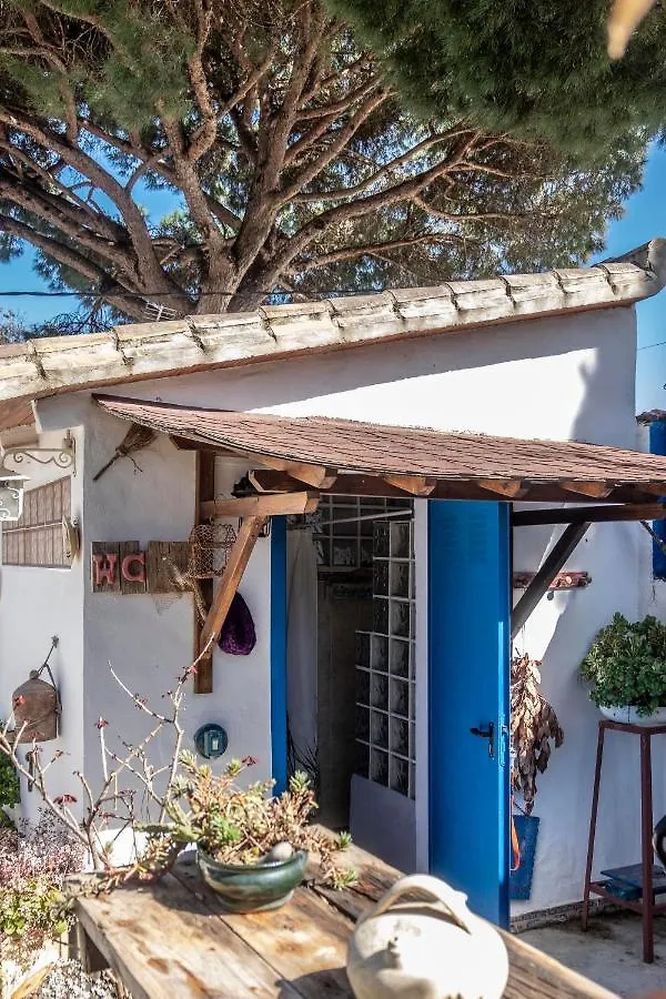 Villa El Acebuche - Chalet Con Encanto - Pet Friendly Barbate 0*,  Spain