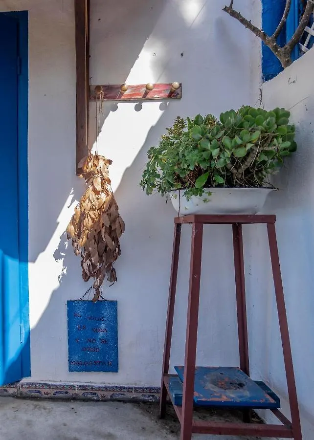 Villa El Acebuche - Chalet Con Encanto - Pet Friendly Barbate